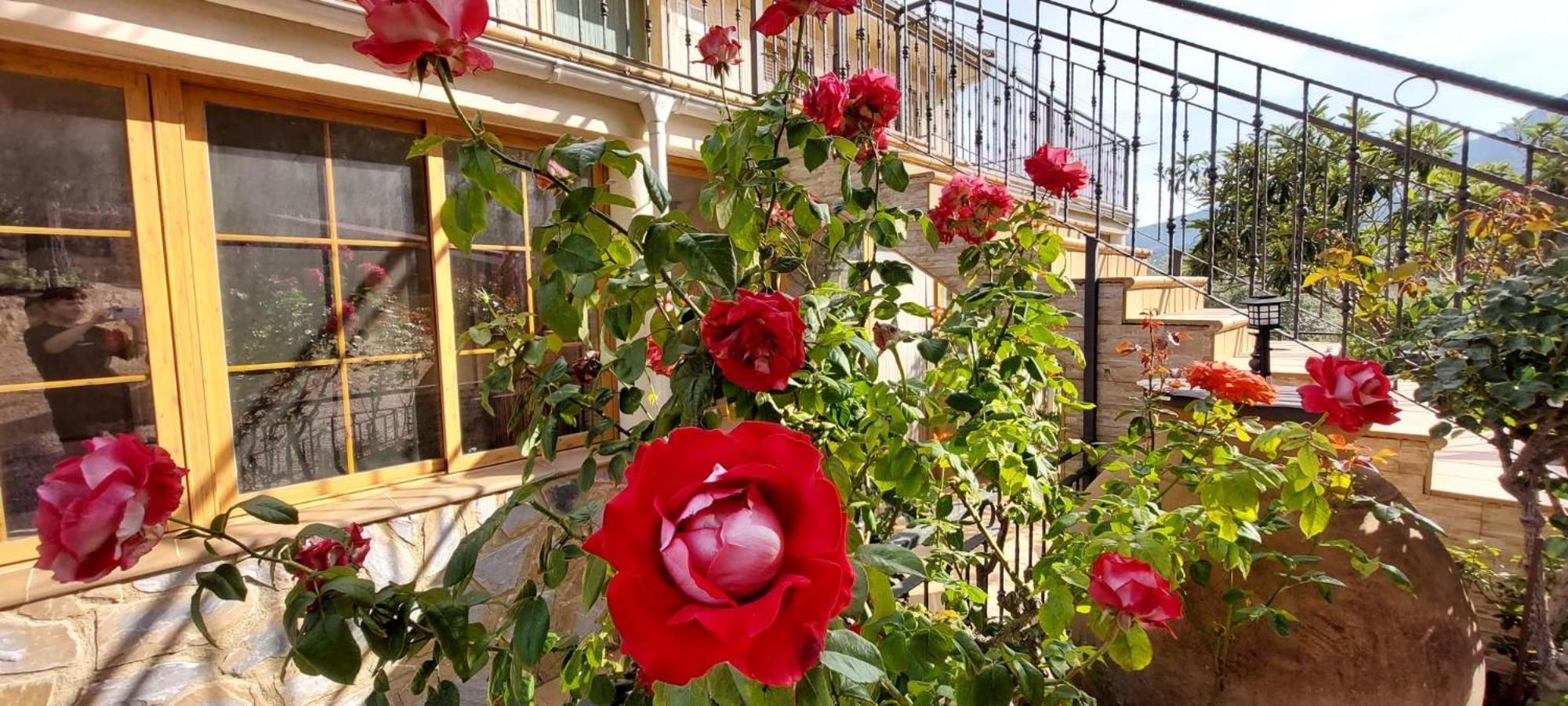 Casas Rurales Cerro Lobo Йесте Екстериор снимка