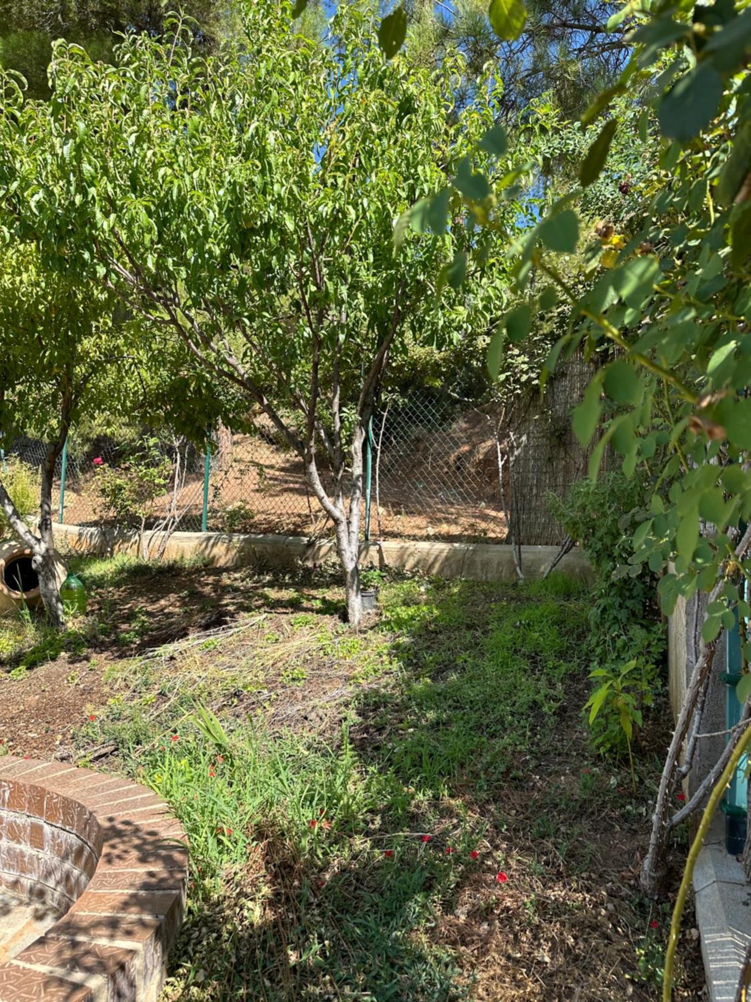 Casas Rurales Cerro Lobo Йесте Екстериор снимка