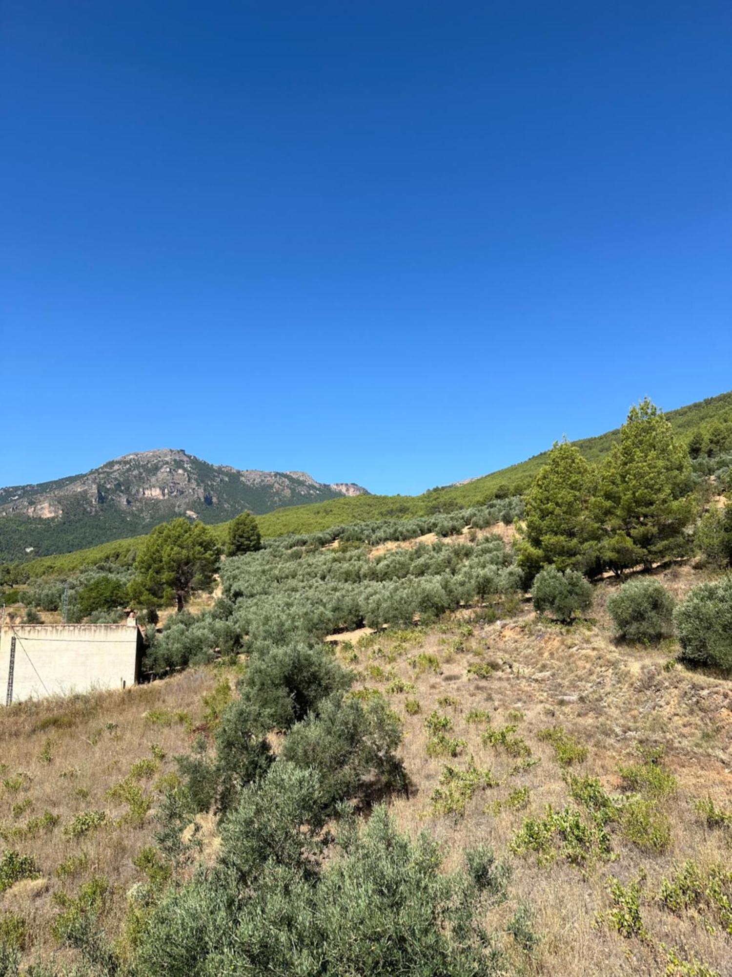 Casas Rurales Cerro Lobo Йесте Екстериор снимка