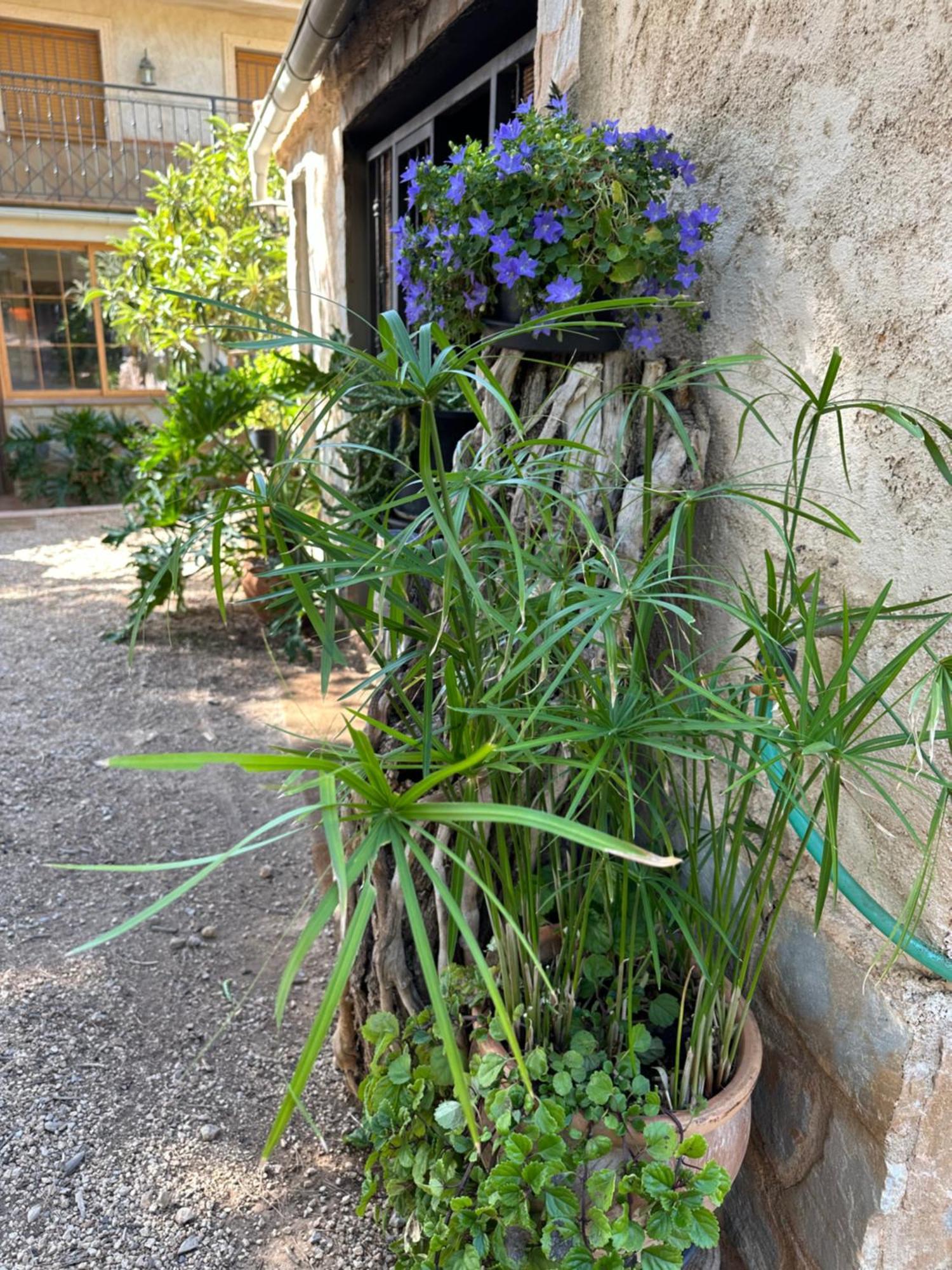 Casas Rurales Cerro Lobo Йесте Екстериор снимка